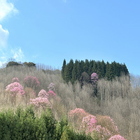 Ļ