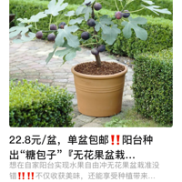 ޻ԡ22.8Ԫ/1裬3Ʒֿѡ