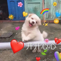ܸҿϢƬ𣿺ð