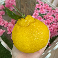 ỹûԹʲ֪ɣҾñȳɫӺóҲ