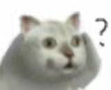 ѧûҵѾһ̥
