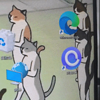 ˰칫ʲô棡һЩӣ̫