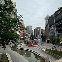故地重游沙坪坝