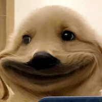 ˾ʦôЩ˿ˣ
