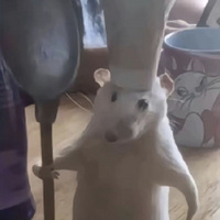 ҳ