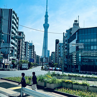 簡