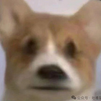 ǰһ꣬ͻȻת1ǸԼһ