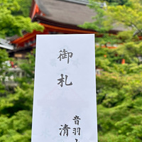 月落三重塔，秋深遍地枫#京都清水寺
