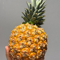 ֹֻâҰǳˣȲӮݷ氡