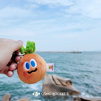 珠海东澳岛和香港五月天。
