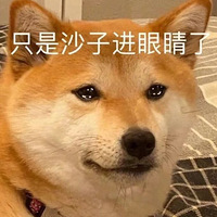 Щζÿ˶Լݮ