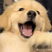 ˵ж󣿷Ϊͣҵ֯