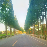 һ£նٳ