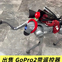 Go2Proңһ
