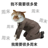 Ͼˣͨ11.0̫