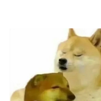 Ͷ5ڴˮƯ⾩αˣ