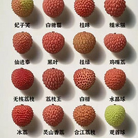 ڹʵ֦