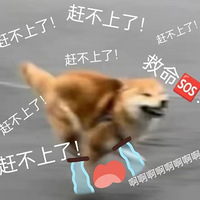 山ֶһϳأһȦԱȥ̯ĳ嶯