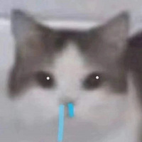 ٹͱ¨ӣϰ壬ٸһλᣡ