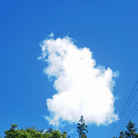 ˵Ϊʲôһȥˡ