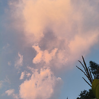 ľصһƧ·