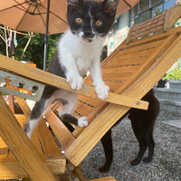 ϵ˲