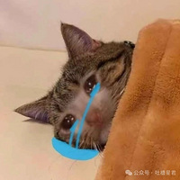 һʲô飿ԼĻеЦ