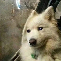 ĸ˲䣬һйУ