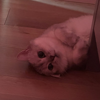 ųСè