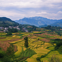 ϴȪҤ嵾羰֮