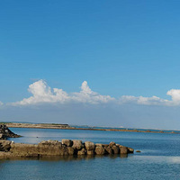 �Ϻ�������һ�ϼ������ӸϺ�����ļ�У����������˾�2000+