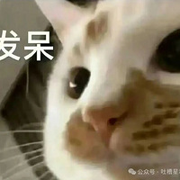 Ϊʲô͵겻Ͽйƴˣ