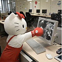 919ֵһͷţţ4059ɵ㳬60Ƭ27