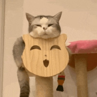 922ֵ±Ȫɽ軨жױ2ƿ39ȷŮװT33