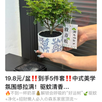 ľ໨衿19.8Ԫ/裬5ף