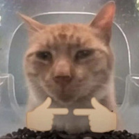 ˾жûûأõݺˣ