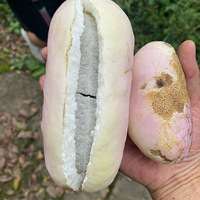 ¹