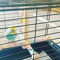 ɿɰ˰