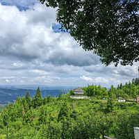 山ţƺͽС