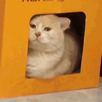 1016ֵ moodyͫ10Ƭ28ղĪϱ±35.9