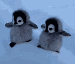 1017ֵ б±22.8᳼¿25