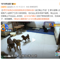 40˹λھӽп࣬Լϲס