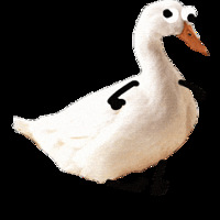 1028ֵ򡿰̤ͯ˶62.9־ů59.9