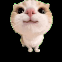 1030ֵ򡿰ٷˮţ2059NB M5740˶Ь325