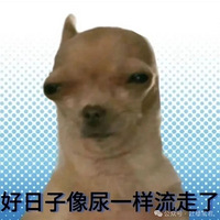 ϰӵҪжǿôܸ˭϶һ