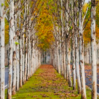 չԡʰ;ΧġҰ¶Ӫһվʽ