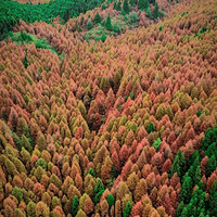 һҶˣ2Сʱɲ£컨塱