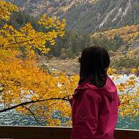 ҡᶨѡ񡱵һ룬˫򱼸