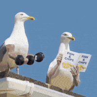 1111ֵ򡿶Ϲ˫޶ͯ29ñֽ1829