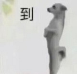 1112ֵͷͯ2֧18.9 ůЬ14.9